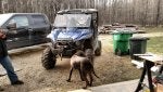 IMG_20160312_161439654.jpg
